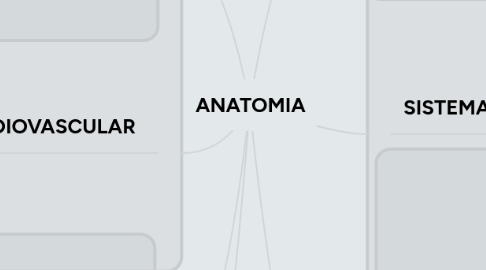 Mind Map: ANATOMIA