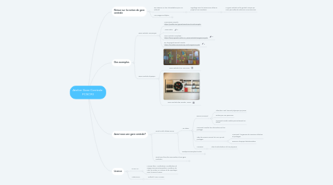 Mind Map: Atelier Gare Centrale  FCSC93