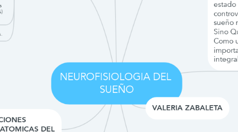 Mind Map: NEUROFISIOLOGIA DEL  SUEÑO