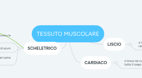 Mind Map: TESSUTO MUSCOLARE