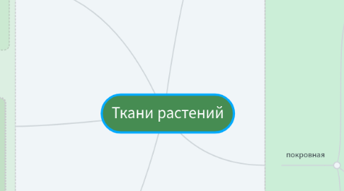 Mind Map: Ткани растений