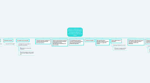 Mind Map: síntese e metabolismo da bilirrubina e fisiopatologia da hiperbilirrubinemia associados á síndrome de Gilbert