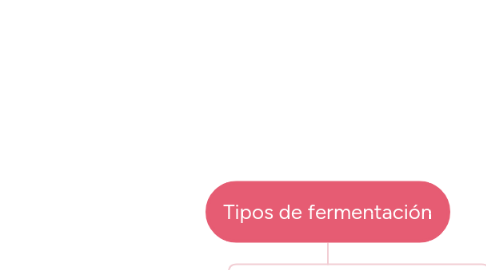 Mind Map: Tipos de fermentación