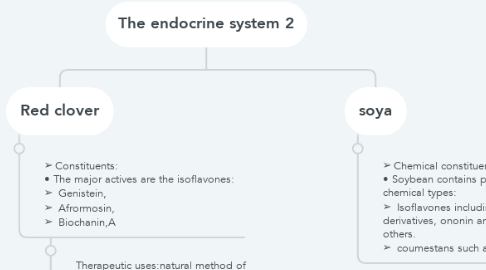 Mind Map: The endocrine system 2