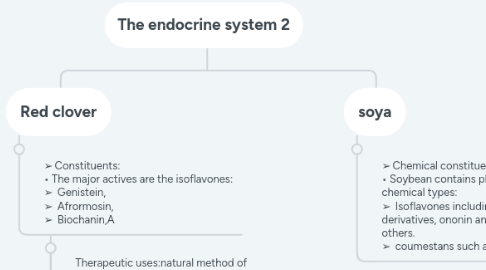 Mind Map: The endocrine system 2