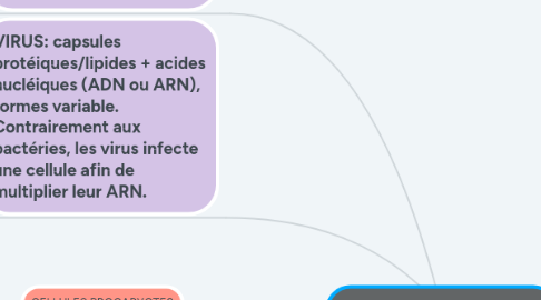 Mind Map: Biocellulaire cellule et virus