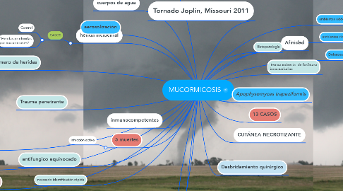 Mind Map: MUCORMICOSIS