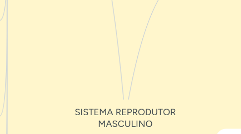 Mind Map: SISTEMA REPRODUTOR MASCULINO