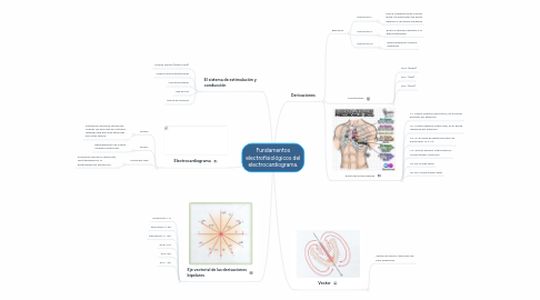 Mind Map: Fundamentos electrofisiológicos del electrocardiograma.