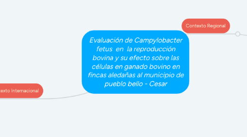 Mind Map: Evaluación de Campylobacter fetus  en  la reproducción bovina y su efecto sobre las células en ganado bovino en fincas aledañas al municipio de pueblo bello - Cesar