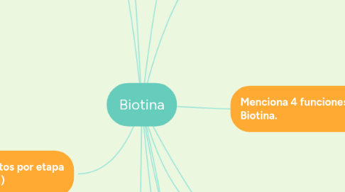 Mind Map: Biotina