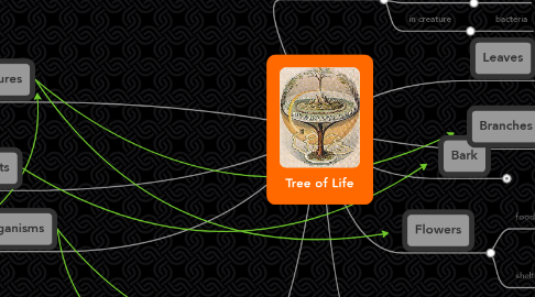 Mind Map: Tree of Life