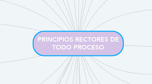 Mind Map: PRINCIPIOS RECTORES DE TODO PROCESO