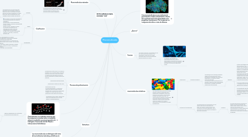 Mind Map: Macromoléculas