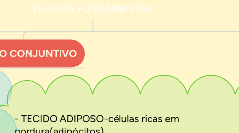 Mind Map: TECIDOS FUNDAMENTAIS