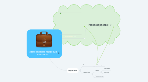 Mind Map: многообразие Хордовых животных