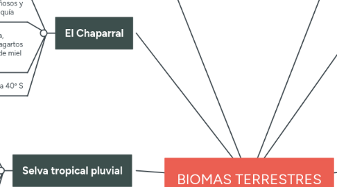 Mind Map: BIOMAS TERRESTRES