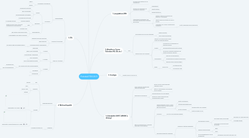 Mind Map: Protokoll TDS 23.11