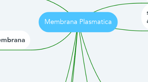 Mind Map: Membrana Plasmatica
