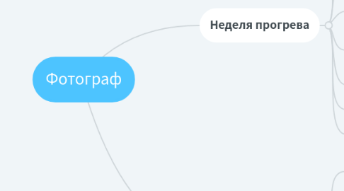 Mind Map: Фотограф