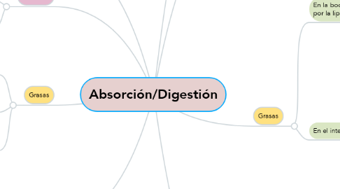 Mind Map: Absorción/Digestión