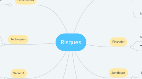 Mind Map: Risques