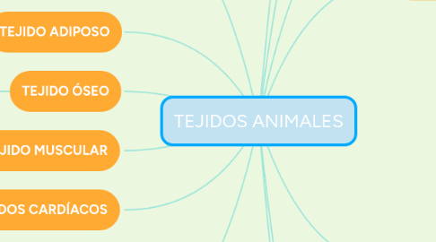 Mind Map: TEJIDOS ANIMALES