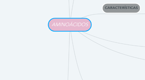 Mind Map: AMINOÁCIDOS