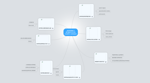 Mind Map: SISTEMAS Y APARATOS DEL CUERPO HUMANO