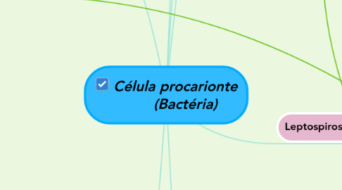 Mind Map: Célula procarionte (Bactéria)