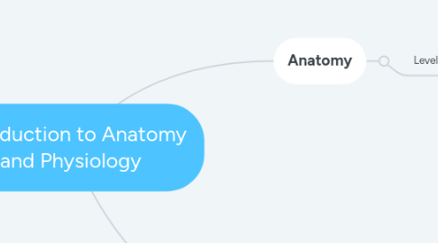 Mind Map: Introduction to Anatomy and Physiology