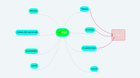 Mind Map: MIP