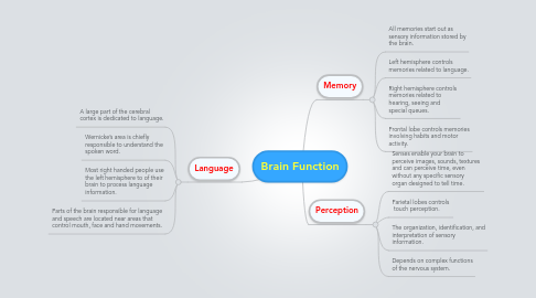 Mind Map: Brain Function