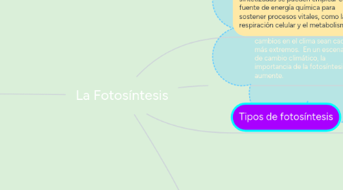 Mind Map: La Fotosíntesis
