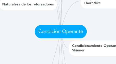 ENTREVISTA DE ANAMNESE - Mind Map