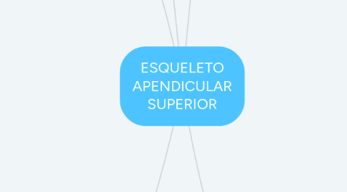 Mind Map: ESQUELETO APENDICULAR SUPERIOR