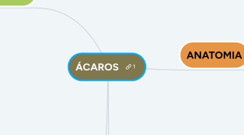 Mind Map: ÁCAROS