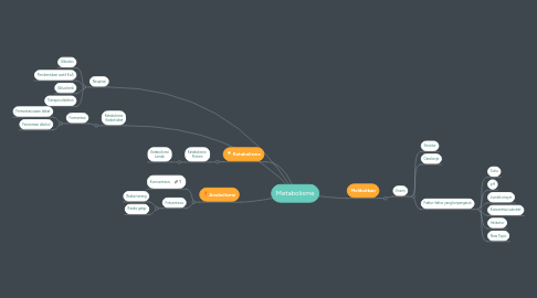 Mind Map: Metabolisme