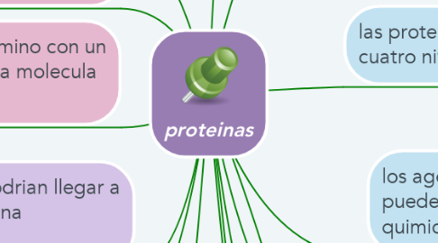 Mind Map: proteinas