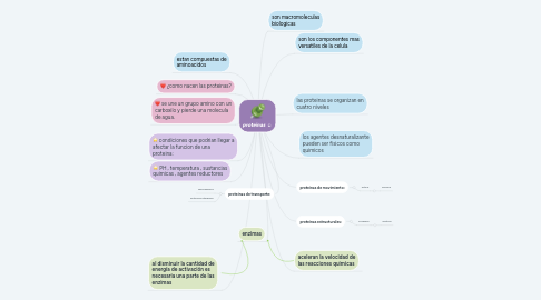 Mind Map: proteinas