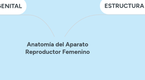 Mind Map: Anatomía del Aparato Reproductor Femenino