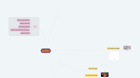 Mind Map: Necesidades de información (1)