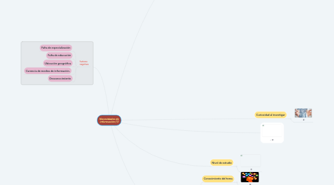 Mind Map: Necesidades de  información (1)