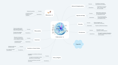 Mind Map: Célula animal