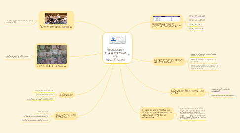 Mind Map: DEVOLUCIÓN IVA A PERSONAS CON DISCAPACIDAD