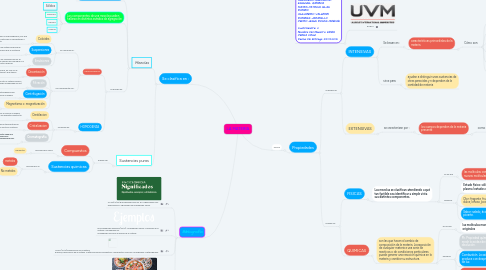 Mind Map: LA MATERIA