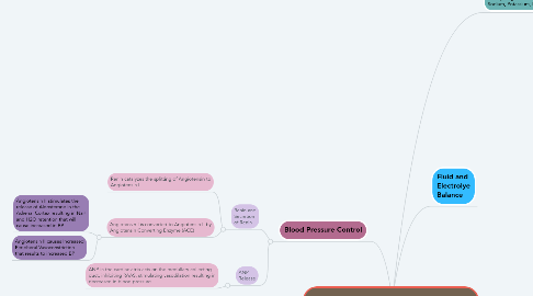 Mind Map: KIDNEY'S ROLE IN HOMEOSTASIS