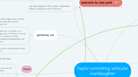 Mind Map: haylor commiting vehicular manslaughter