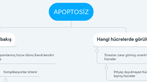 Mind Map: APOPTOSİZ