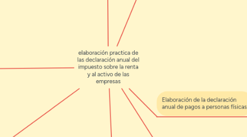 Mind Map: elaboración practica de las declaración anual del impuesto sobre la renta y al activo de las empresas